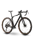 13556.webp