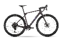 13558.webp