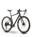 13563.webp