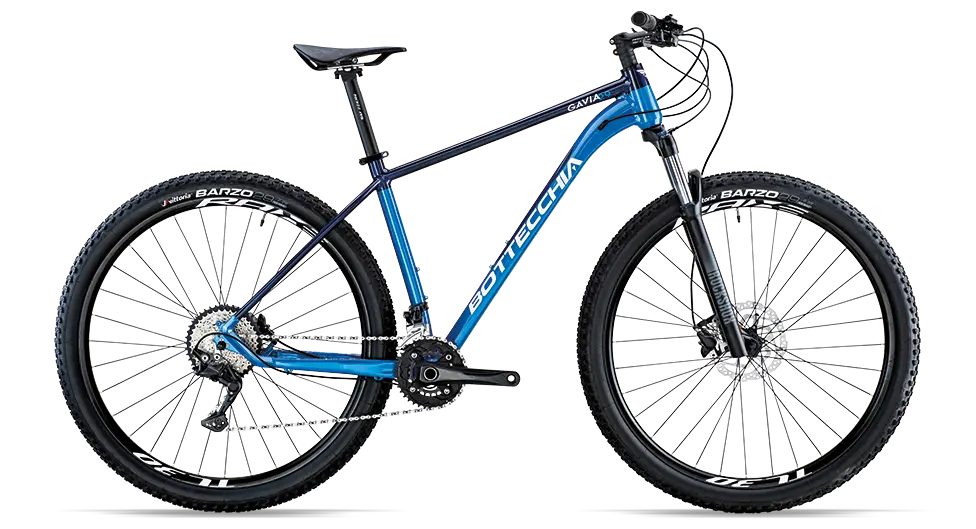 GAVIA_C80_2021.webp