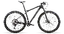 ORTLES_297_C21_2021 (1).webp