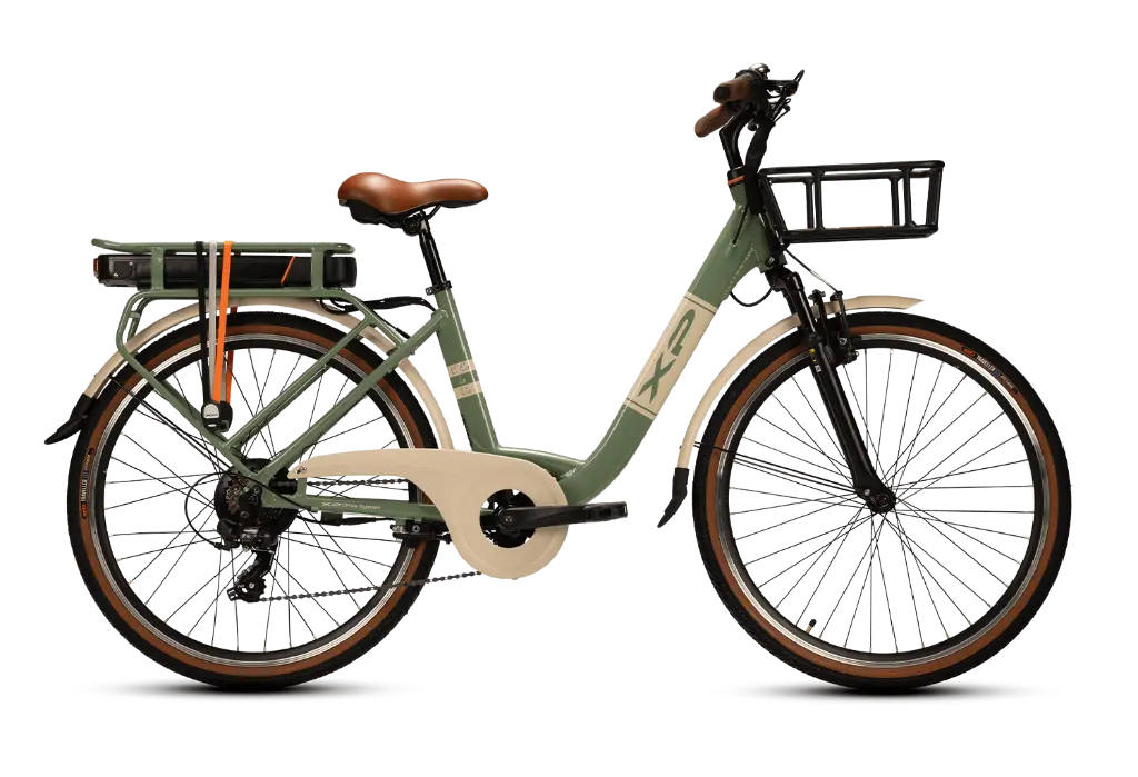 D6.4-Shiny_green_frontale-min.webp
