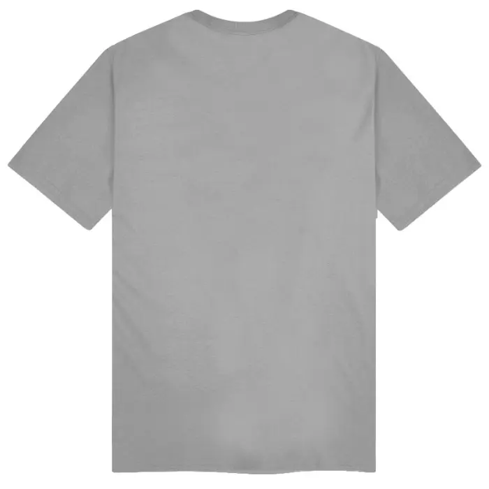 T-Shirt rear grey.webp