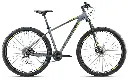 BOTTECCHIA 116