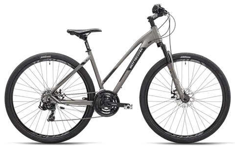 BOTTECCHIA 311 EVO