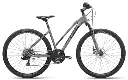 BOTTECCHIA 311 EVO