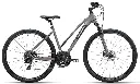 BOTTECCHIA 321