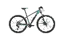 NSR REACT 29