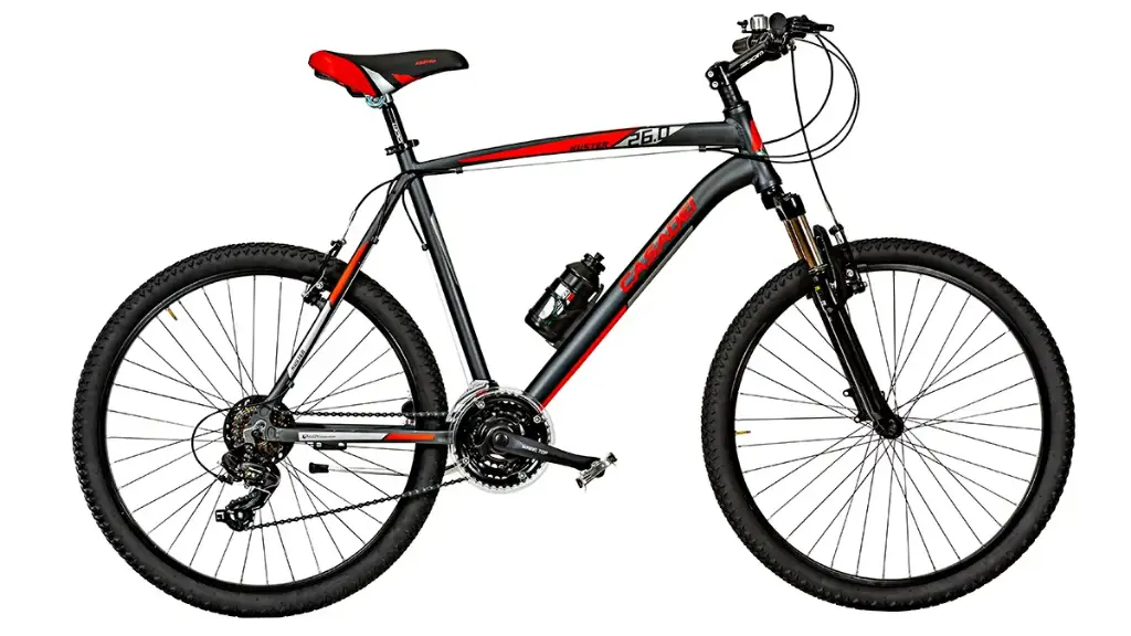 CASADEI KUSTER 26"