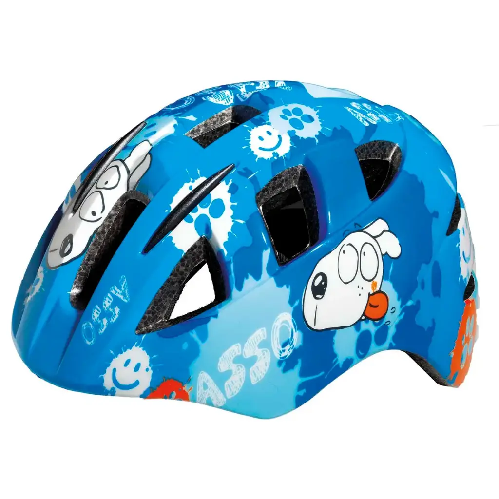 CASCO BRN ASSO