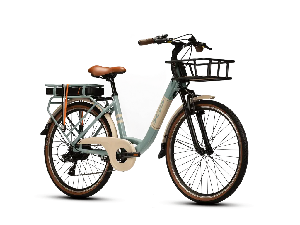 XP BIKES D6.4 (Titanio)