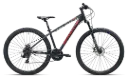BOTTECCHIA 109
