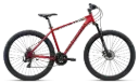 BOTTECCHIA 109