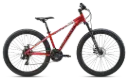 BOTTECCHIA 107