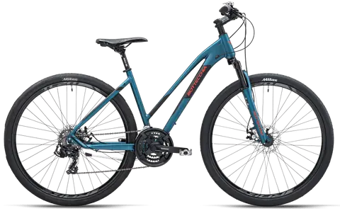 BOTTECCHIA 311 EVO