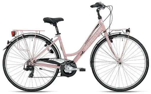 BOTTECCHIA 213